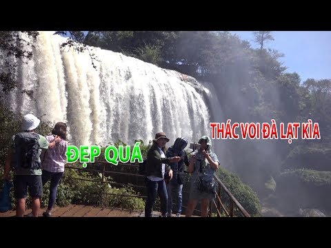 Video Ngỡ ngàng với vẻ đẹp mê hồn của Thác Voi Đà Lạt |... - youtube
