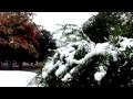 演歌旅人 八樹らん子 関東地方雪雪 津軽女のよされ節
