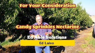 Candy Sprinkle Nectarine, Early Mid-Season With a Perfect Acid/Sugar Balance. For Your Consideration screenshot 5