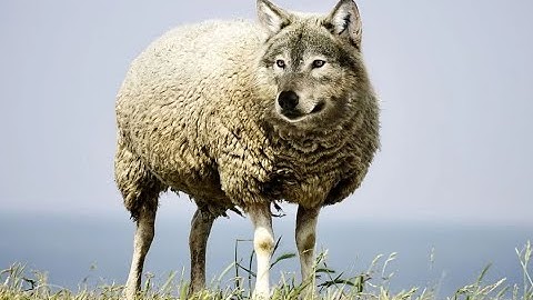 HHK, Ds. J.R. van Vught, ontmaskerd