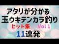 テンカラ釣り！玉ウキ仕掛けでアタリがとれる！ヒット集１１連発！