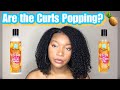 NEW Curls Poppin Pineapple Collection Wash & Go Demo & Review | Leave In & Curl Defining Jelly