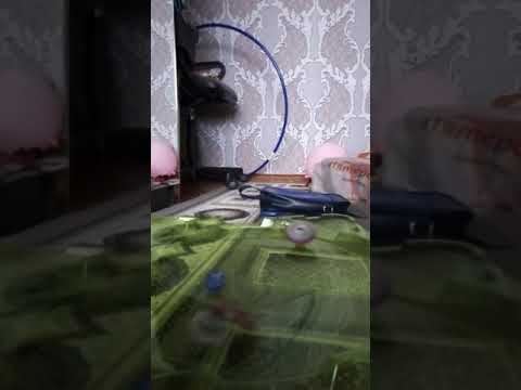 Бэй блэй берст