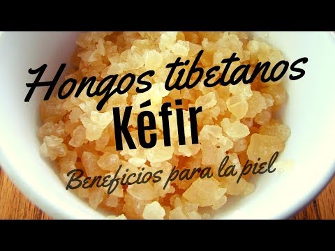 hongos tibetanos para adelgazar hongos tibetanos para adelgazar
