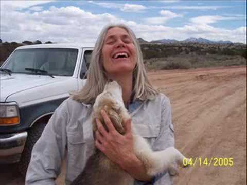 One 4 All Animal Rescue Clovis New Mexico