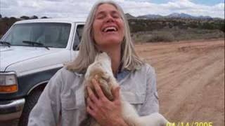 One 4 All Animal Rescue Clovis New Mexico