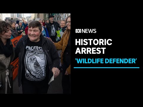 Tasmania jails environmental activist, it is the first protest arrest in ten years | abc news