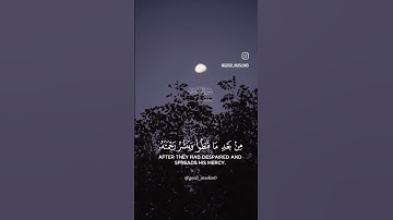 سورة الشورى  بصوت القارئ سعد الغامدي 🫀🎧. #quran #اكسبلور #freeplastine