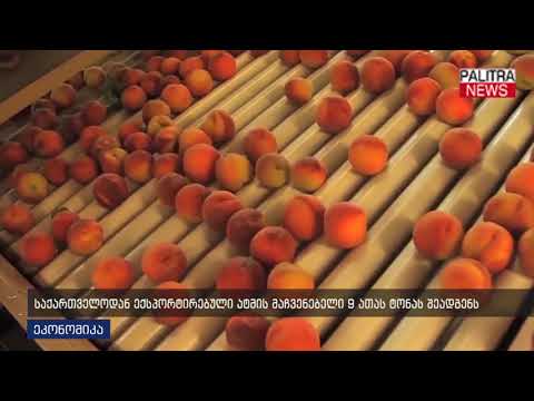 საქართველოდან ექსპორტირებული ატმის მაჩვენებელი 9 ათას ტონას შეადგენს