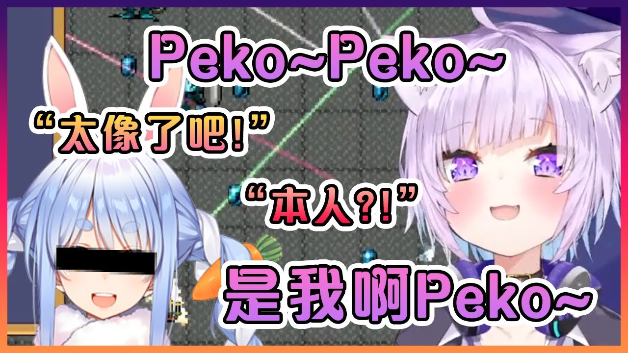 小粥對佩克拉的神模仿讓觀眾們都以為本人來了!【Hololive中文】【猫又小粥/兔田佩克拉】