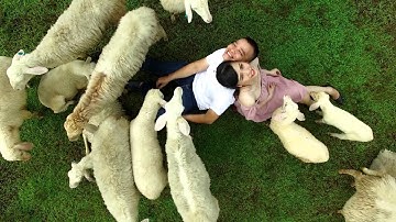 CLIP CƯỚI FLYCAM HỒ CỐC