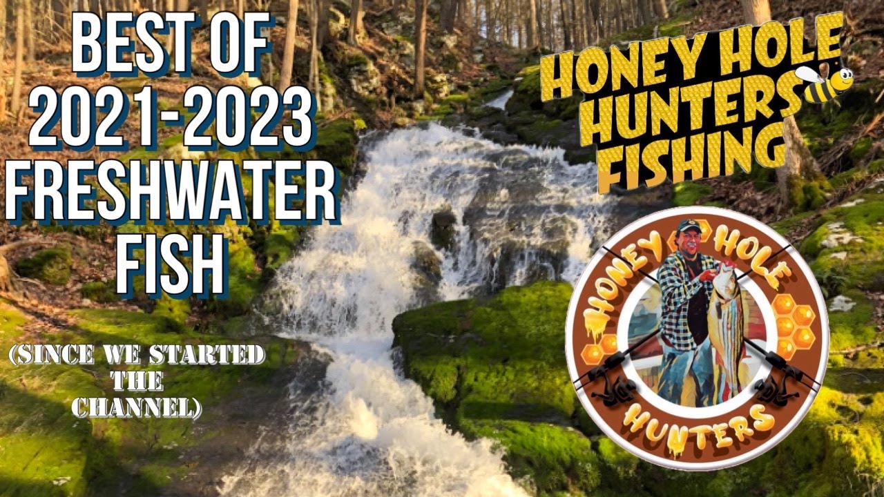 BEST OF 2021-2023 FRESHWATER FISH (Since we started the channel) - YouTube