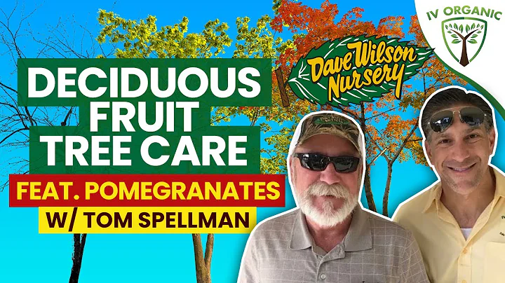 Deciduous Fruit Tree Care | feat. Tom Spellman @DaveWilsonTrees