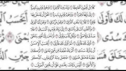 كَلَّا بَلْ تُحِبُّونَ الْعَاجِلَةَ ( سورة القيامة )