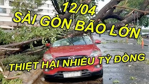 Nhiều cây đổ đè ô tô, xe máy trong cơn mưa lớn ở Sài Gòn
