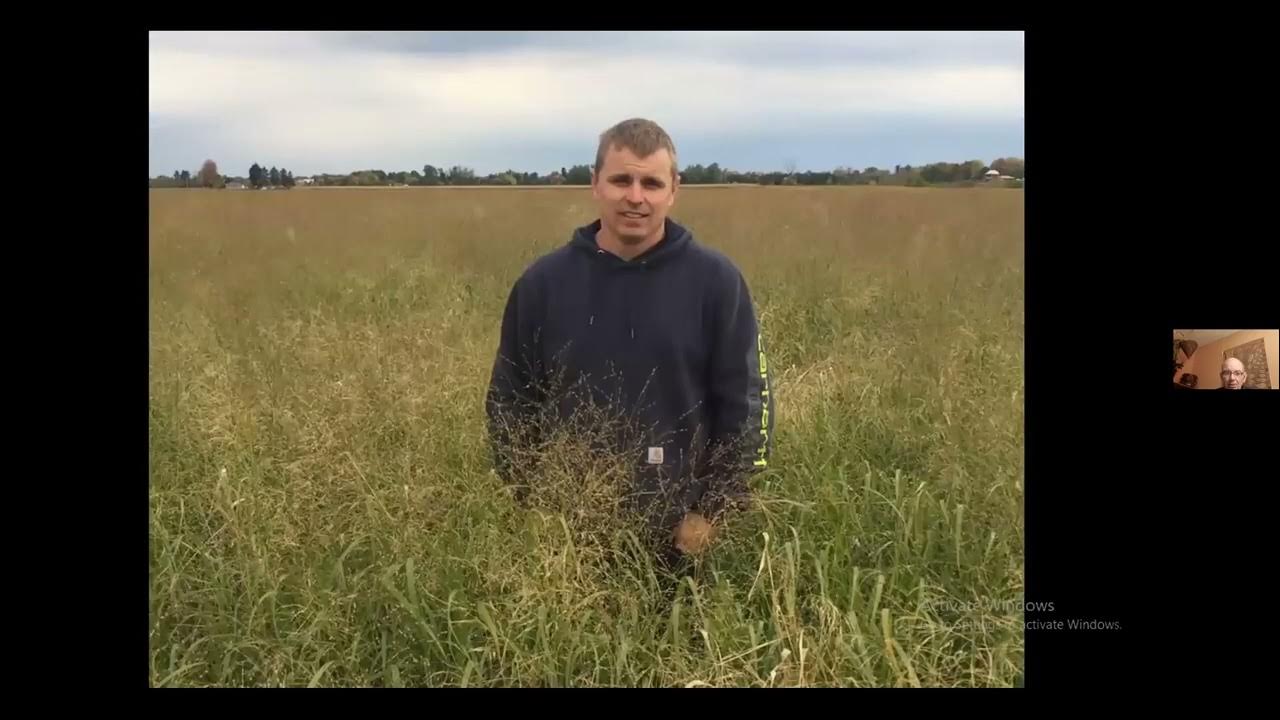 Growing Switchgrass YouTube