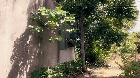 𐙚 ̊  Daily Vlog | Một ngày nghỉ hè của học sinh cấp 3 | skincare, nấu ăn, đi chơi, làm vòng..𝜗𝜚˚