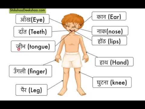 Learn hindi lesson 29 - Parts of the body ( शरीर के अंग) - YouTube