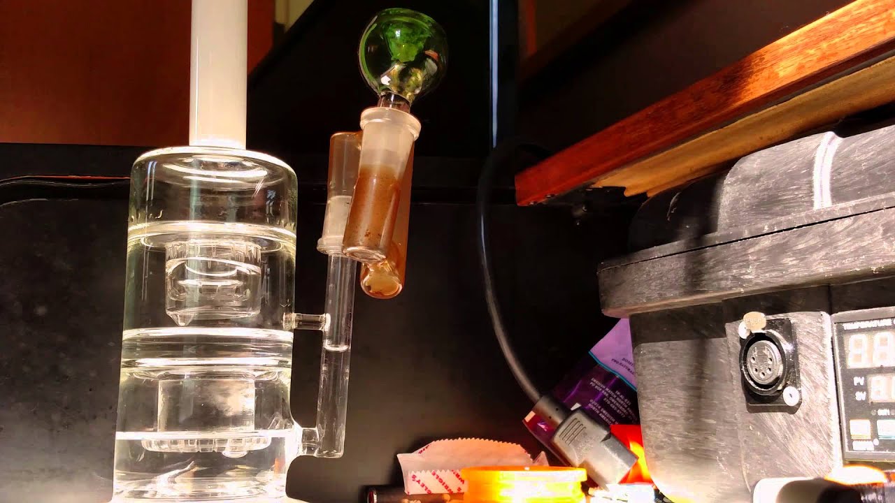 Sin City Seeds Platinum Delights #1 Smoke Report