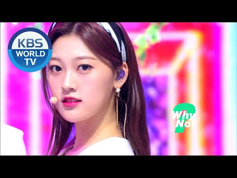 LOONA(이달의 소녀) - Why Not? (Music Bank) | KBS WORLD TV 201023