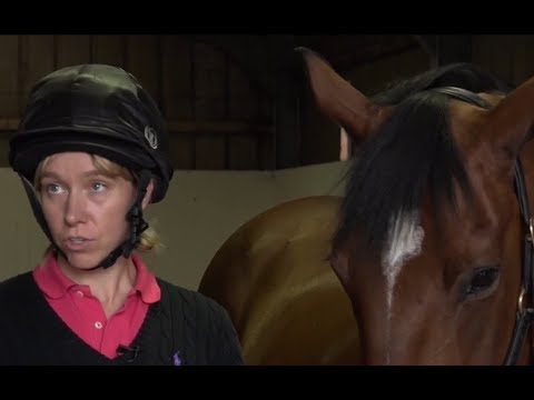 Wideo: Czy konie wyścigowe były „szczęśliwe” źle traktowane? Jeden Equine Veterinarian Weighs In