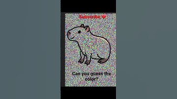 Capybara Can you guess the color? #guessthecolor #weekend #memes #digitalart #procreate #capybara