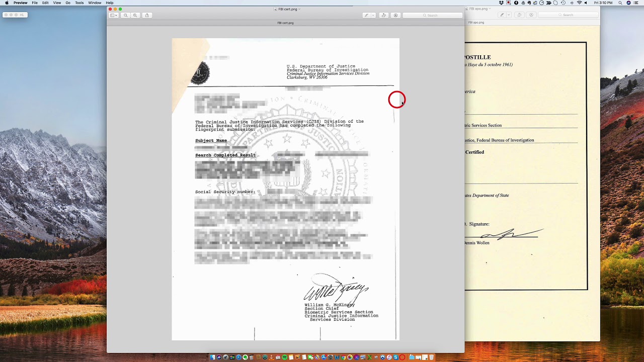 how-to-apostille-an-fbi-police-background-check-youtube