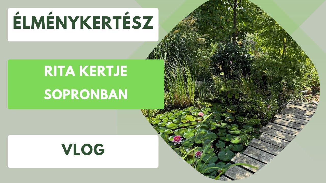 Édenkert Sopronban- Rita kertje a csoda világa🏡