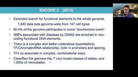 Piero Carninci: Decoding human genome: an international effort spanning two decades