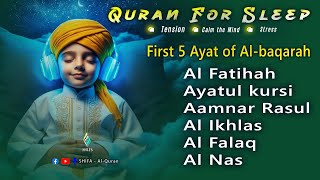 Heart Touching  Recitation I Al Fatihah, Ayat alkursi, Aamn alrasul, Al ikhlas, Al falaq,Al nas I
