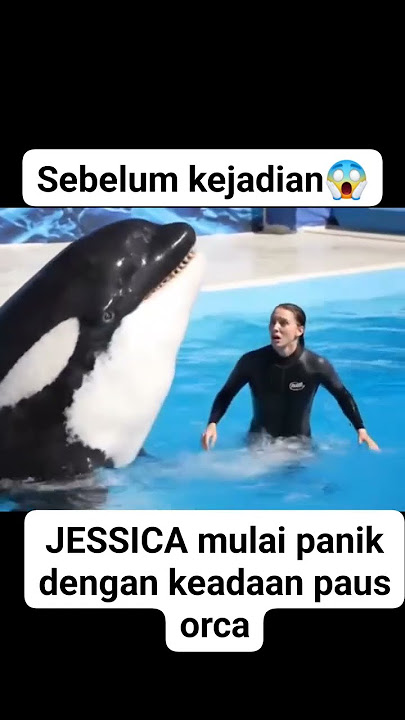 sebelum kejadian #ripjessica #pausorca #jessica #short