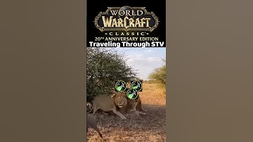 Have No Fear When Traveling Through Stranglethorn Vale! #wowclassic #gaming #lythp