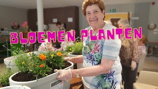 Download Lagu Bloembakken beplanten MP3