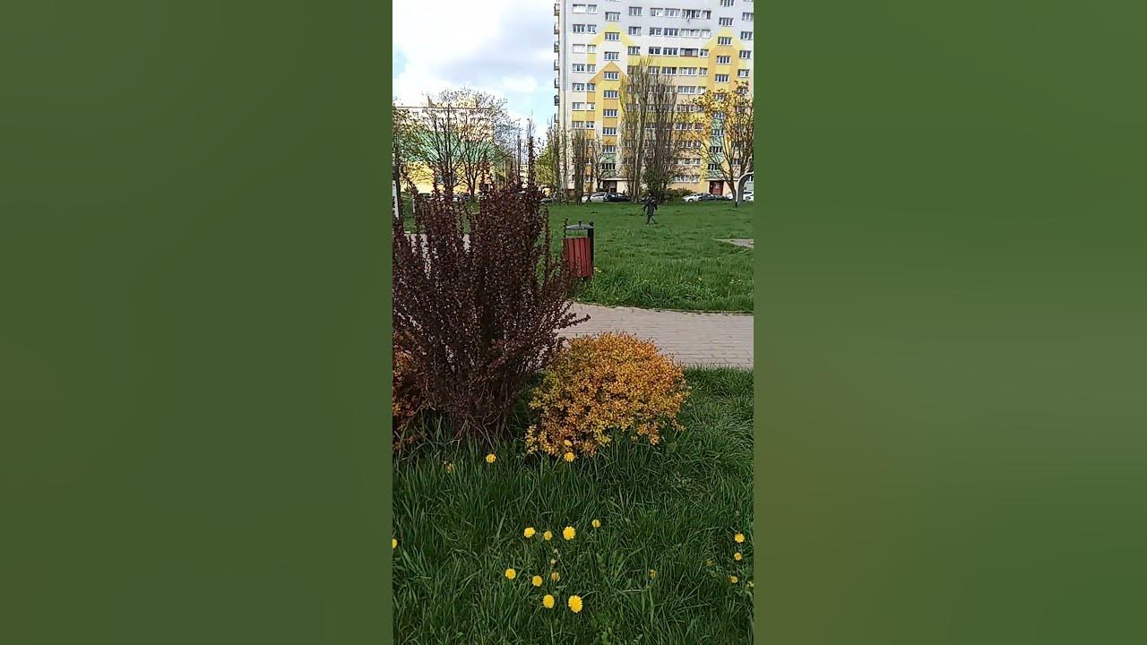 Барви природи - YouTube