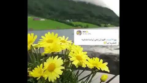 ما تيسر من سورة الرعد عبدالرحمن مسعد