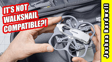 Is this the end of Walksnail? // CADDX PROTOS WITH ASCENT VIDEO SYSTEM