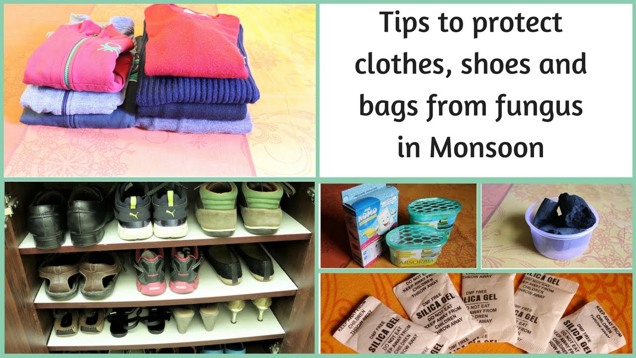 Tips To Protect Clothes, Shoes And Bags From Fungus In Monsoon