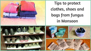 Tips to protect clothes, shoes and bags from fungus in Monsoon