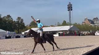 Polo  Amsterdam Museumplein