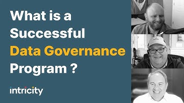 What is a successful data governance program?