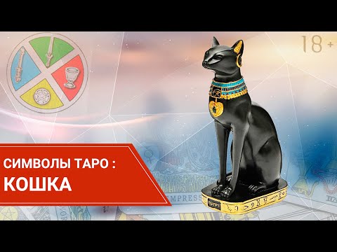 Значение символа "Кошка" в картах Таро. 18+