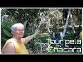 Tour pela Chácara | Vó Neide e suas pets