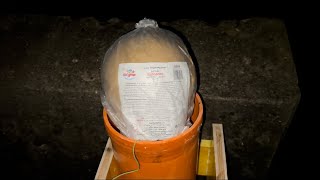 200mm Kugelbombe - Brocade Crown with Red Strobe Pistil