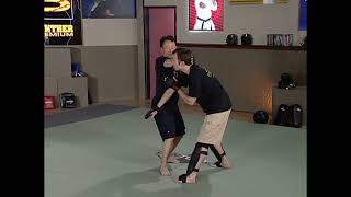 Integrative Wing Chun: Close Range Sticky Hand, Kicks and KneeStrikes