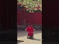 【春花映红墙！ 鲜花填满了故宫整个春天】春花与红墙交相辉映， 花影摇曳的春日故宫 | 中华地图