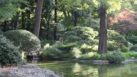 تلاوة باكية وخاشعة || للقارئ اليمني جمال بن سالم