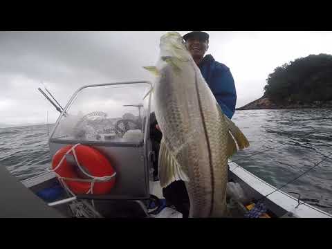 EMOÇÃO NA ÁGUA: ROBALO FLECHA NO GUARUJÁ!