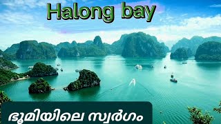 Vietnam's Ha Long Bay Is a Spectacular Garden of Islands | ഹലോങ്‌ ബേ