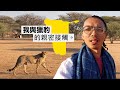 《納米比亞·非洲自駕 ep2》我跟獵豹的親密接觸！