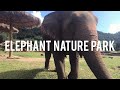 Elephant Nature Park Volunteering 2018